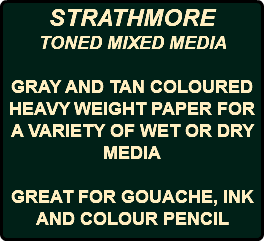 STRATHMORE TONED MIXED MEDIA GRAY AND TAN COLOURED HEAVY WEIGHT PAPER FOR A VARIETY OF WET OR DRY MEDIA GREAT FOR GOUACHE, INK AND COLOUR PENCIL